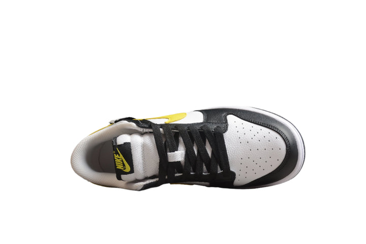 Nike Dunk Low SB